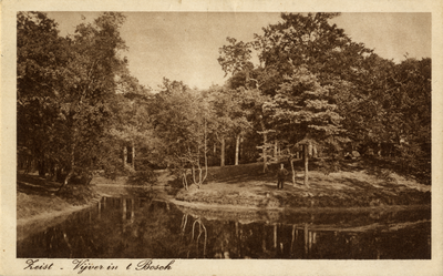 16294 Gezicht op de grote vijver met omringende gemengde bomen in het Zeister Bosch te Zeist.